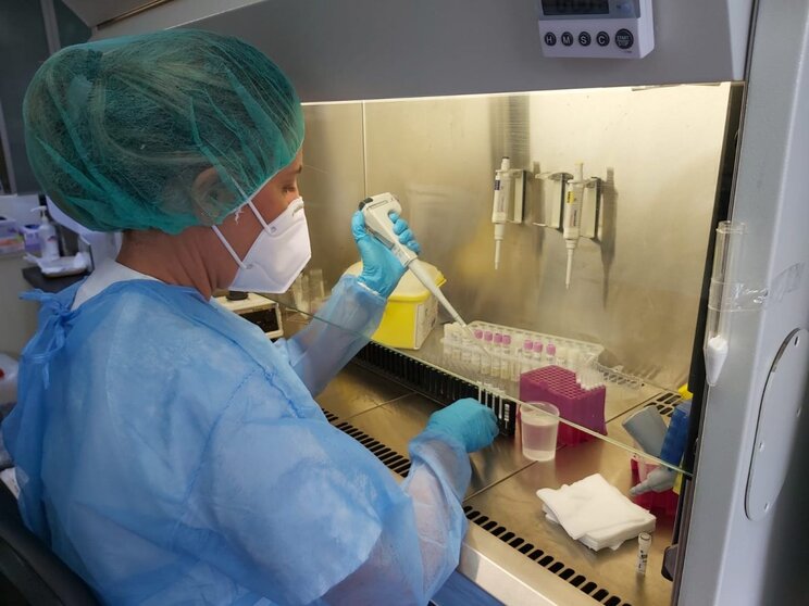 Una profesional procesa pruebas PCR en el laboratorio